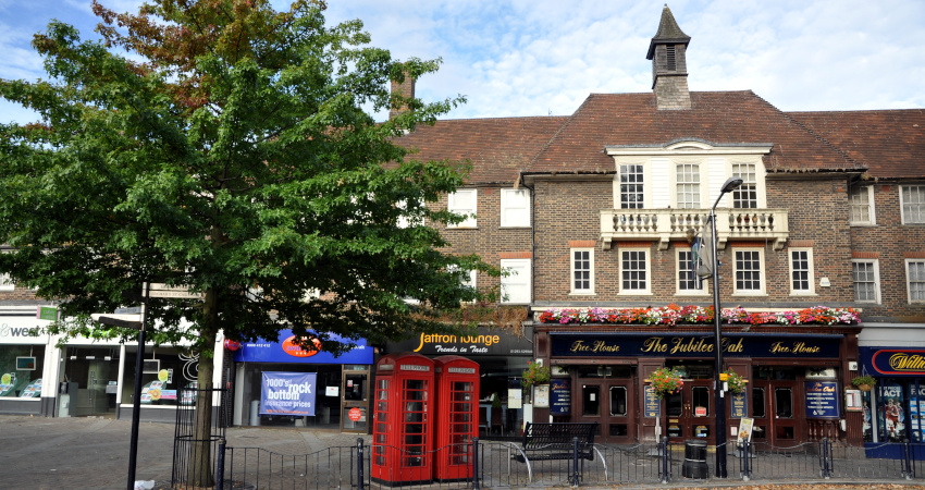 row of shops behind a tree